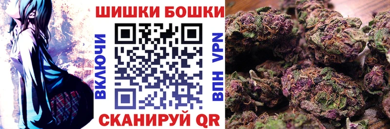 Купить закладки  Цимлянск  Бошки Шишки SATIVA & INDICA 